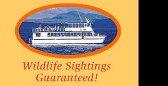 Wildlife Sightings Guaranteed