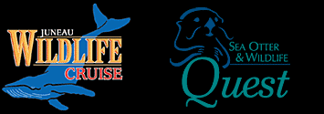 Juneau Wildlife Cruise and Sea Otter & Wildlife Quest